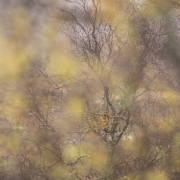 sejour photo ecosse s m booth-7928