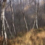 sejour photo ecosse s m booth-8532