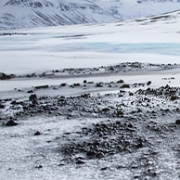islande au souffle de la terre galerie