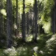 La forêt enchantée