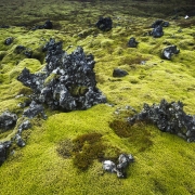 iceland_s_m_booth-9189