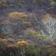 prises2vues skye ecosse-9251