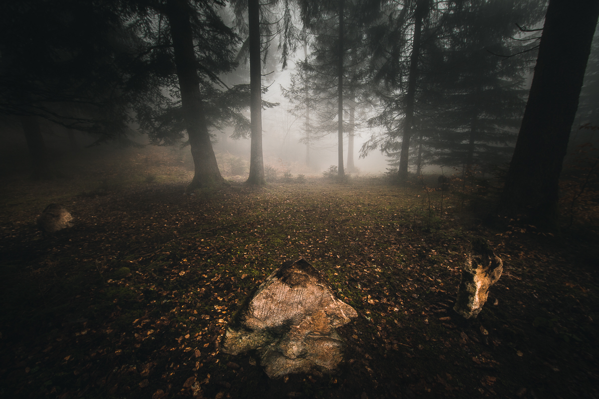 Le Nemeton rayonne son mystère et sa magie dans la forêt