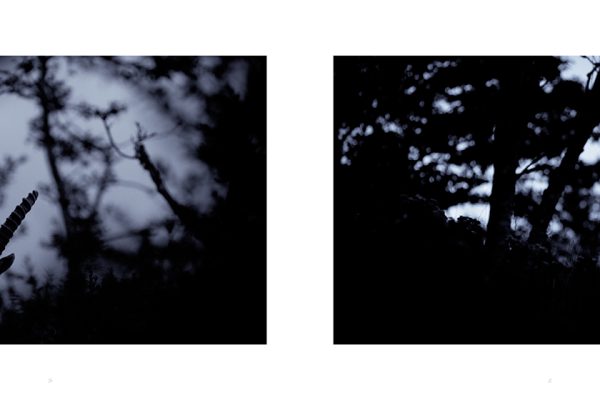 sensations-booth-interieur1318