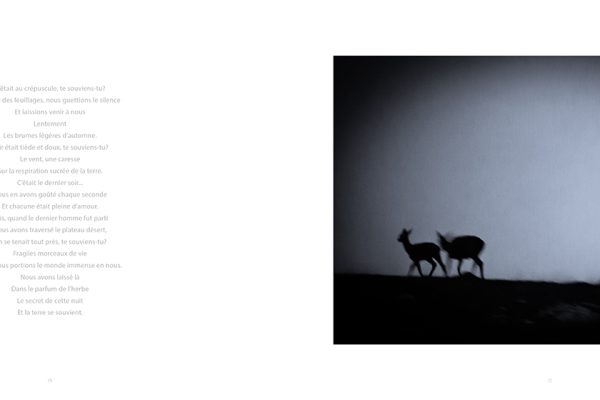 sensations-booth-interieur1328