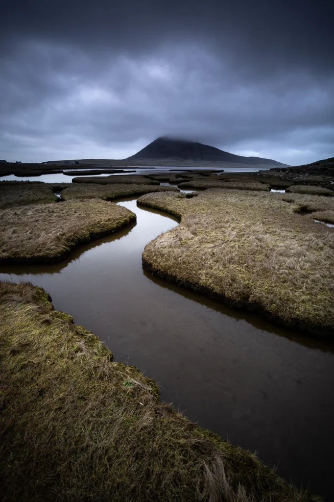 harris-and-lewis-2024-2407