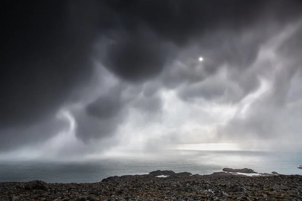 harris-and-lewis-2024-2416