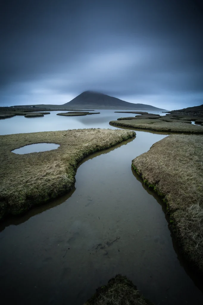 harris-and-lewis-2024-2418