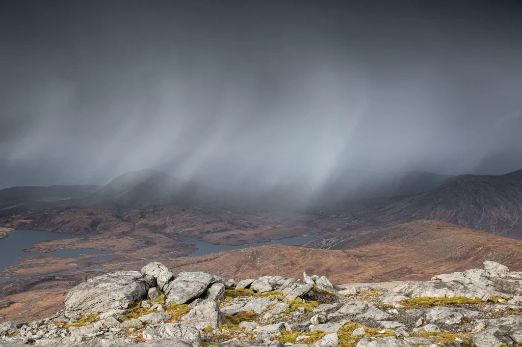 harris-and-lewis-2024-2419