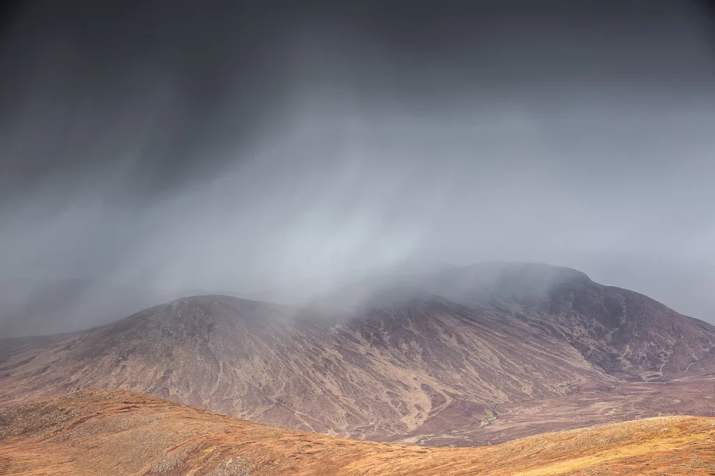 harris-and-lewis-2024-2420