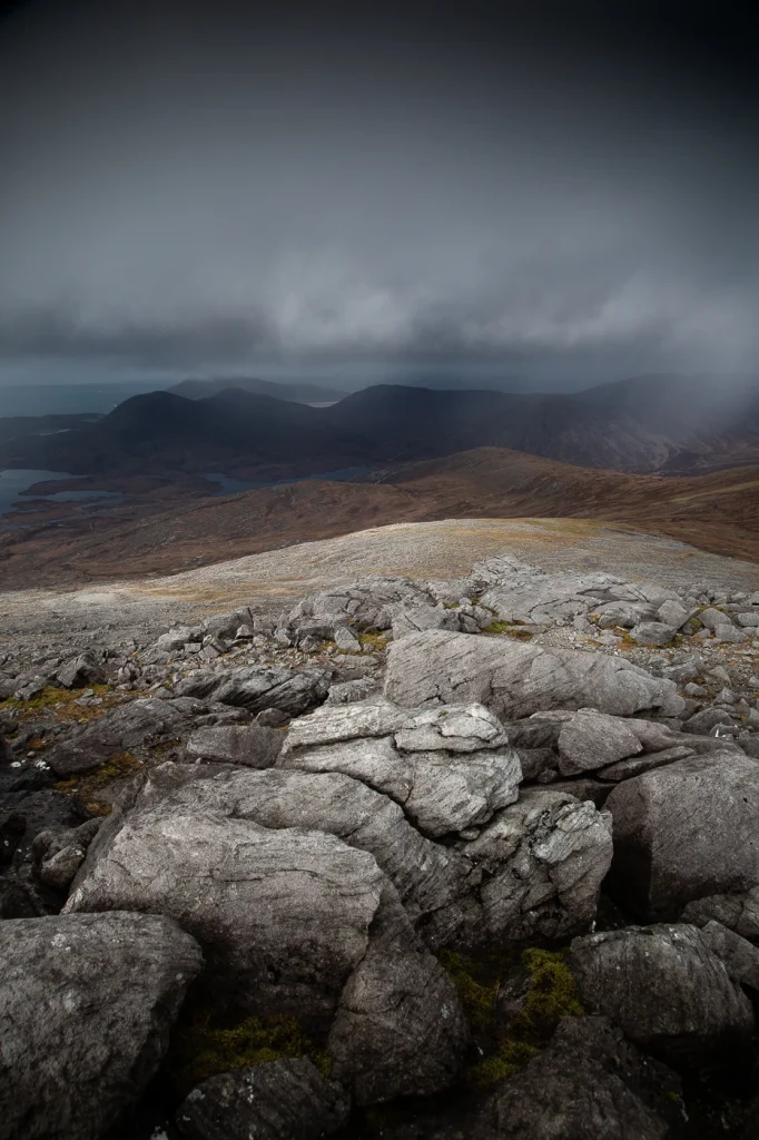 harris-and-lewis-2024-2421