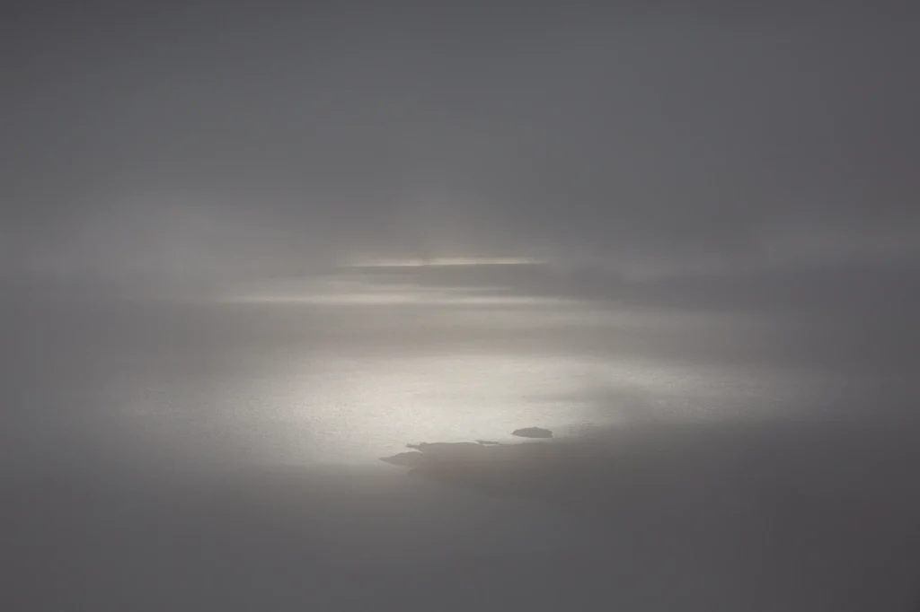 harris-and-lewis-2024-2422