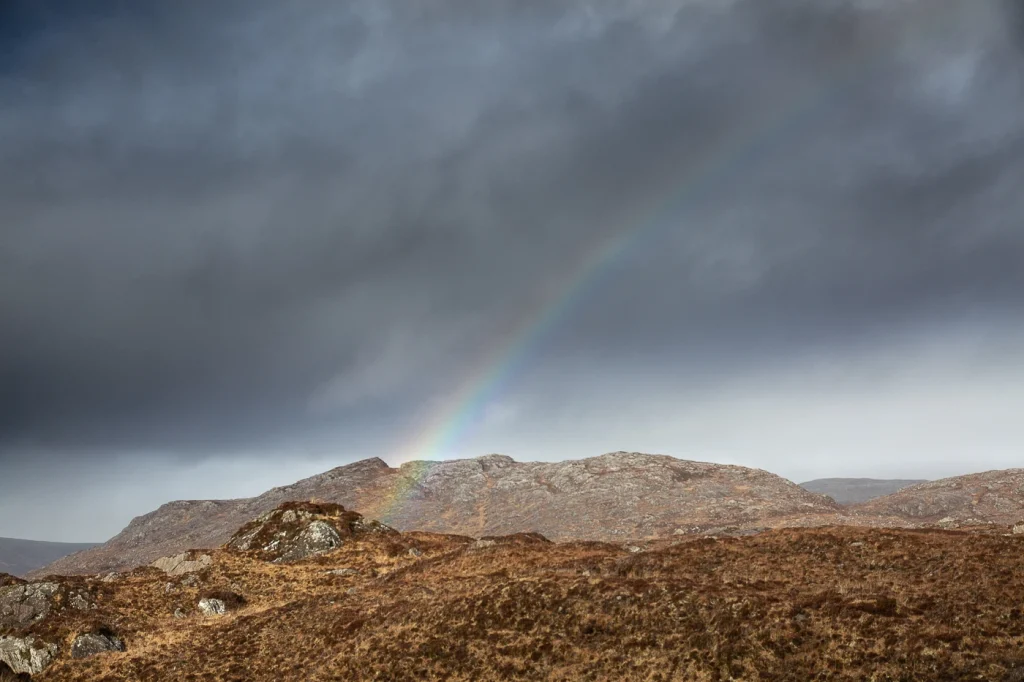 harris-and-lewis-2024-2423