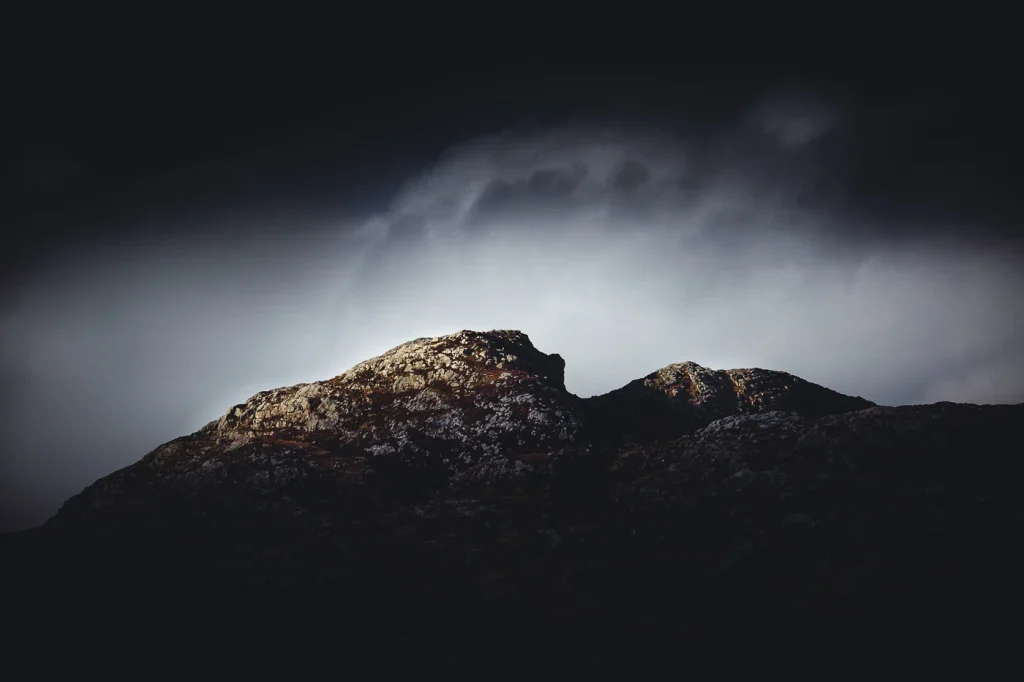 harris-and-lewis-2024-2424