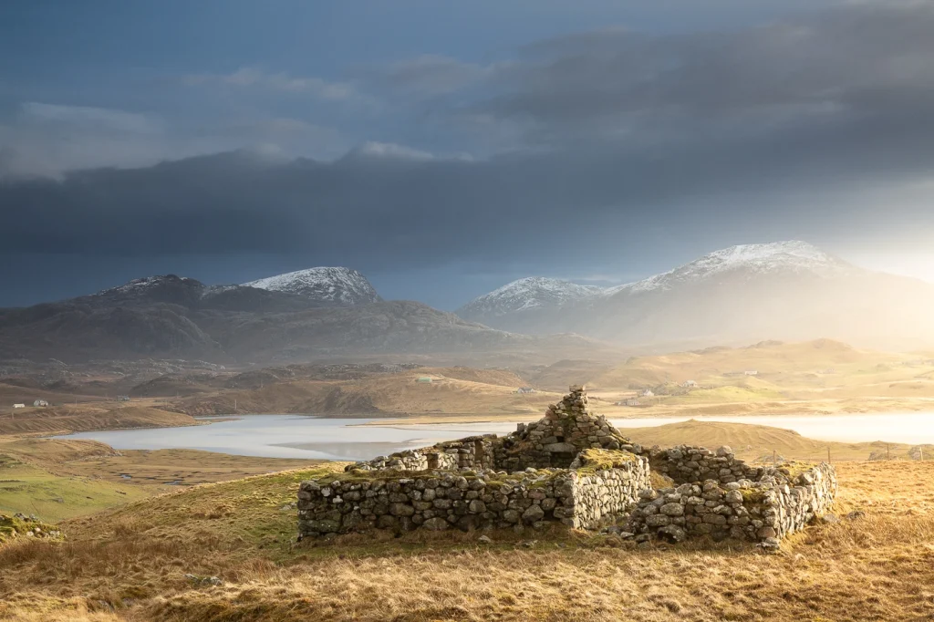 harris-and-lewis-2024-2428