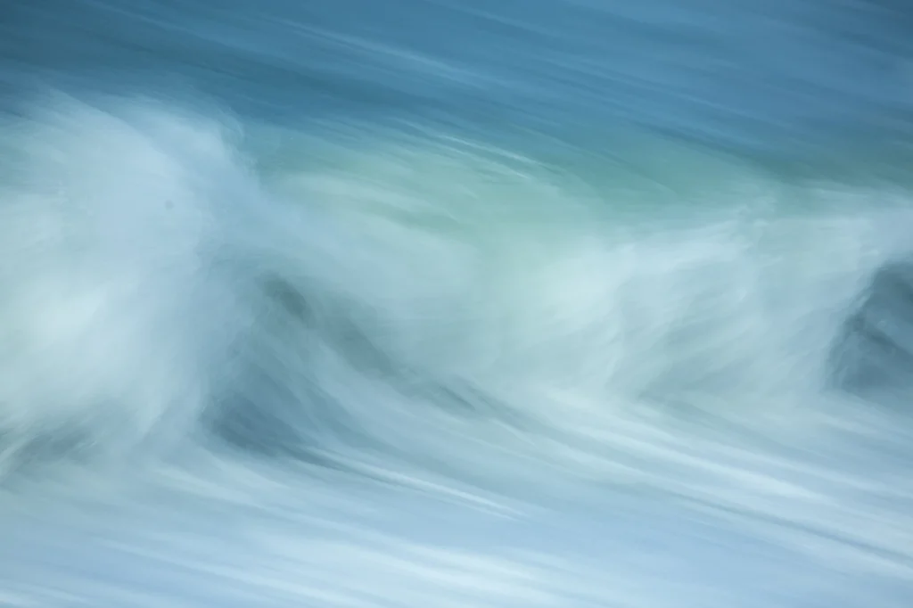 harris-and-lewis-2024-2444