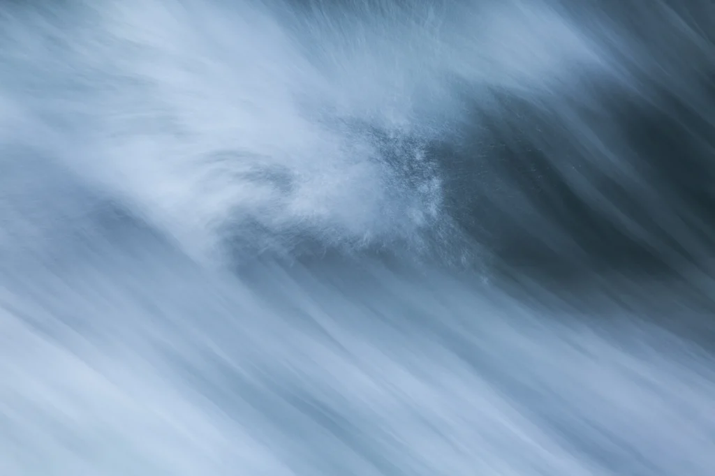 harris-and-lewis-2024-2446