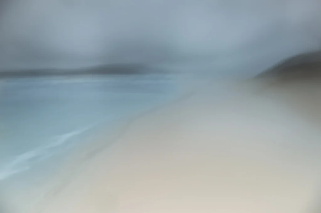 harris-and-lewis-2024-2452