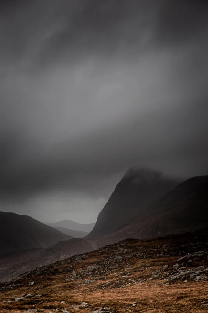 harris-and-lewis-2024-2455