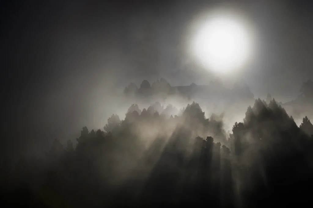 a-fleur-de-brume-213