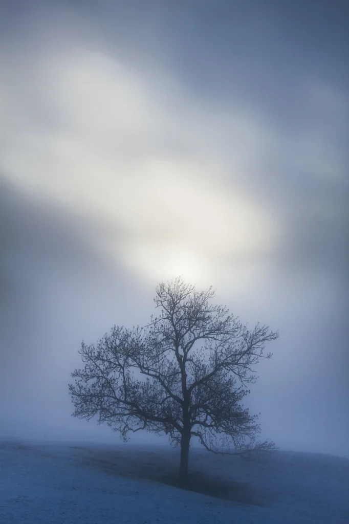 a-fleur-de-brume-214