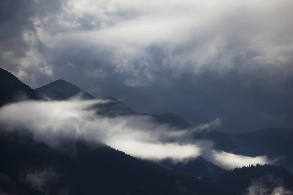 a-fleur-de-brume-222