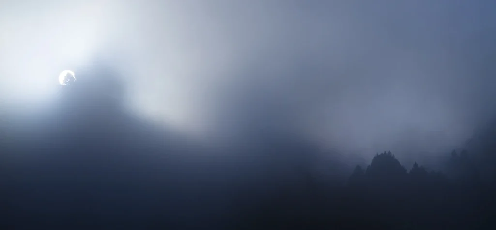 a-fleur-de-brume-223