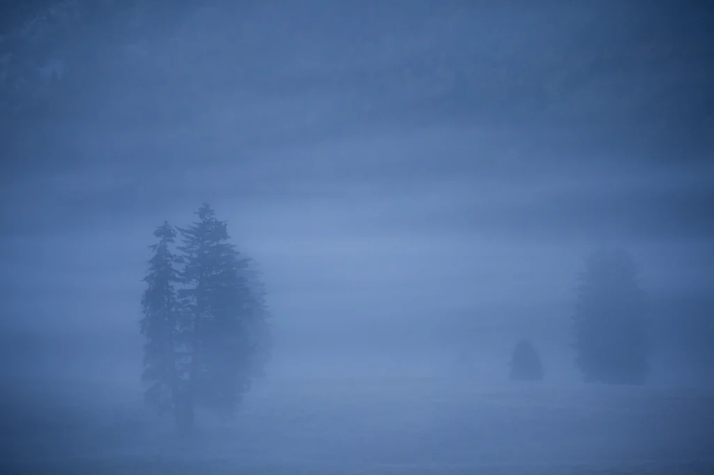 a-fleur-de-brume-224