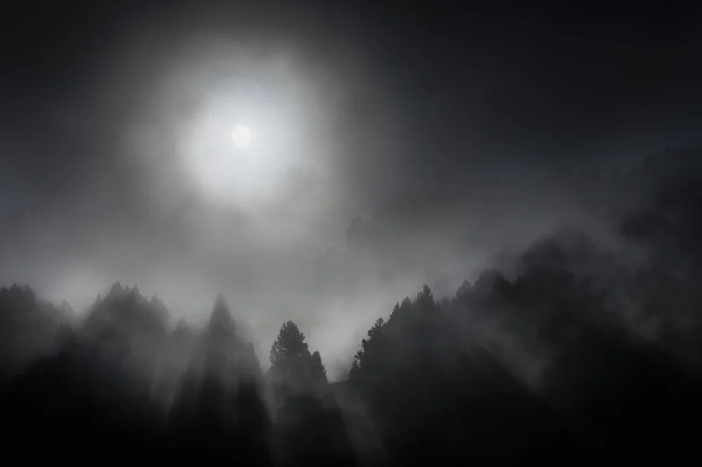 a-fleur-de-brume-226