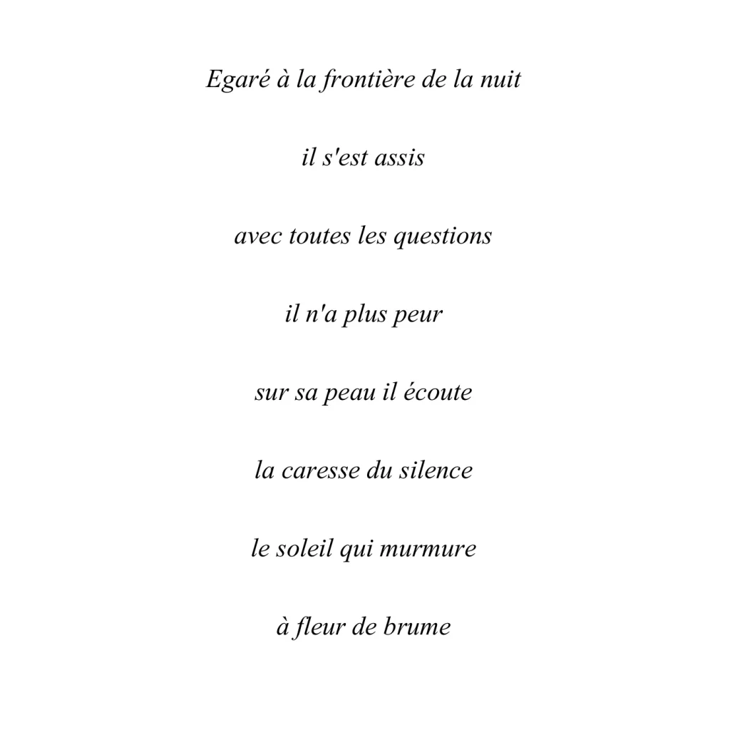 a-fleur-de-brume-227