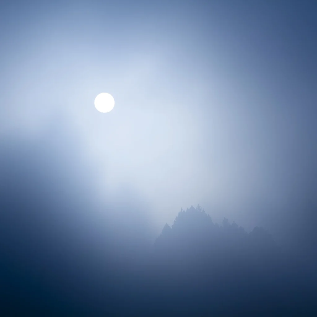 a-fleur-de-brume-231