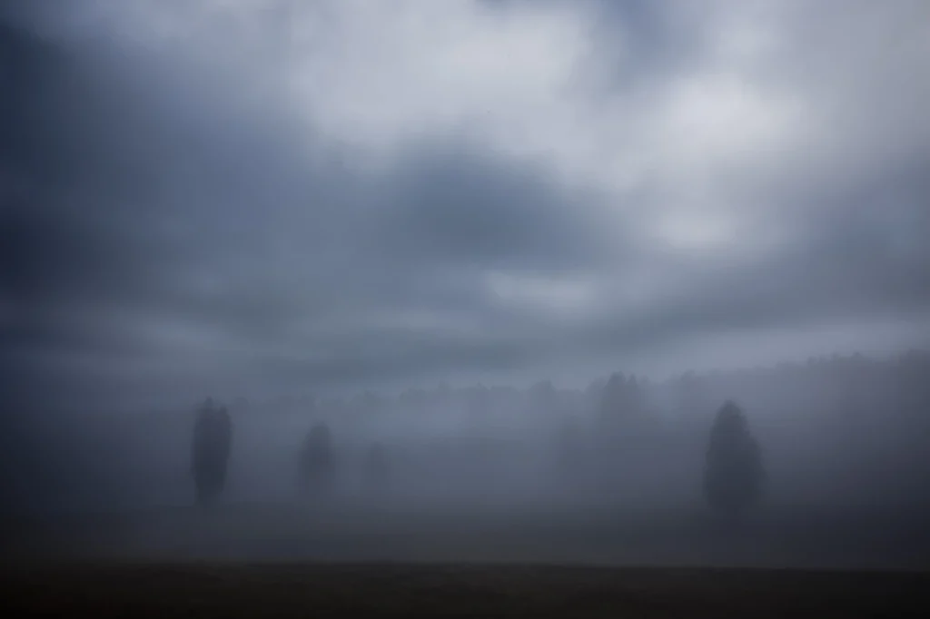 a-fleur-de-brume-232