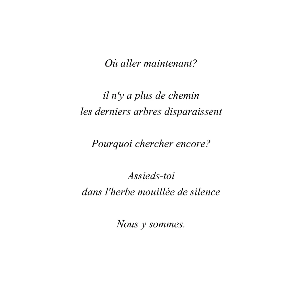 a-fleur-de-brume-233