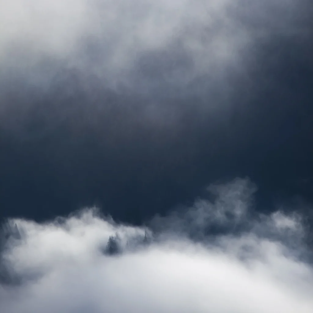 a-fleur-de-brume-236