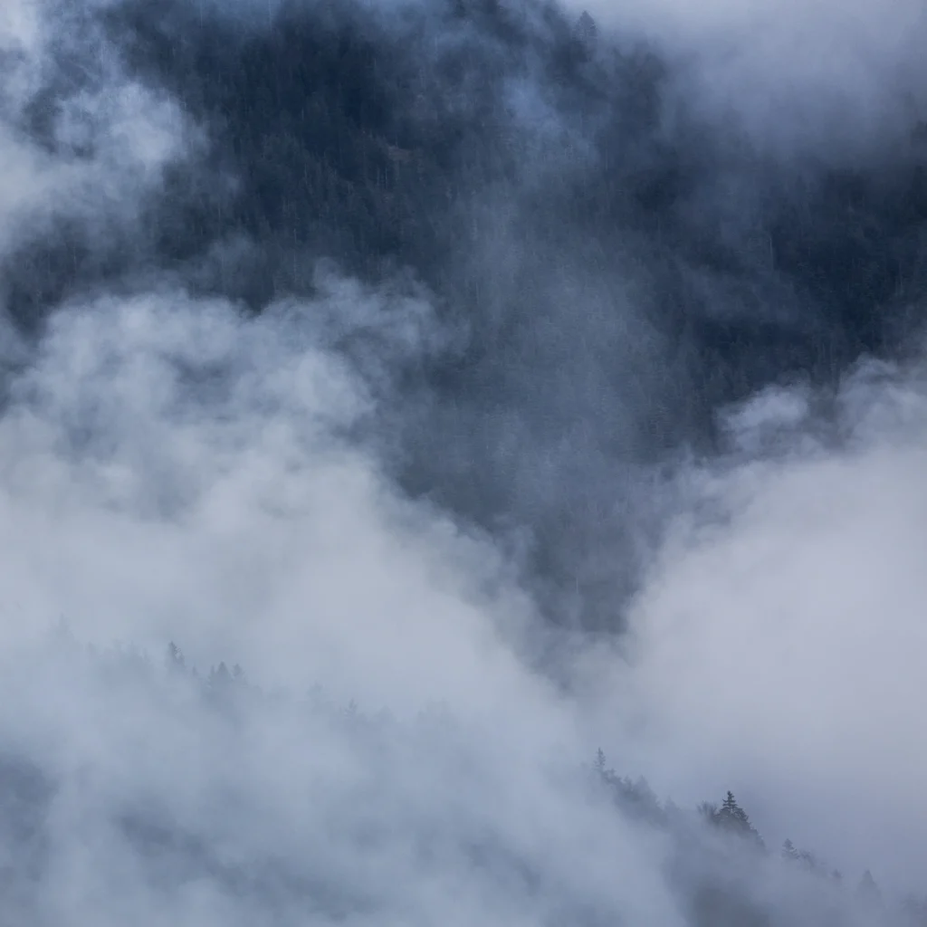 a-fleur-de-brume-241