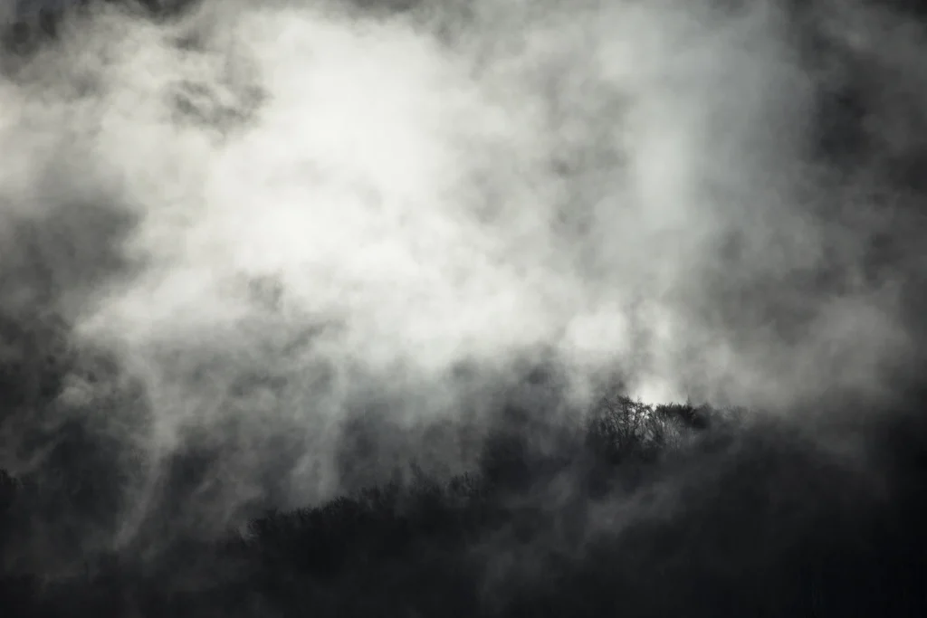 a-fleur-de-brume-242