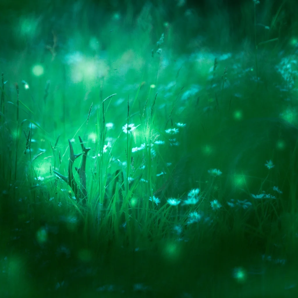 foret-enchantee-1870