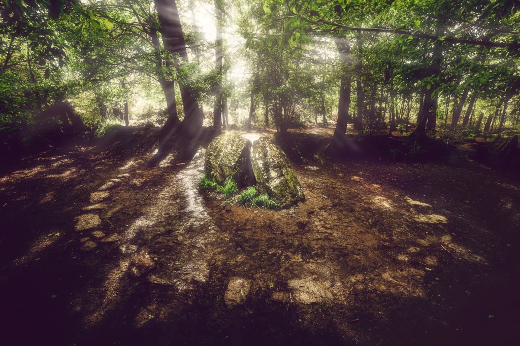 foret-enchantee-1872