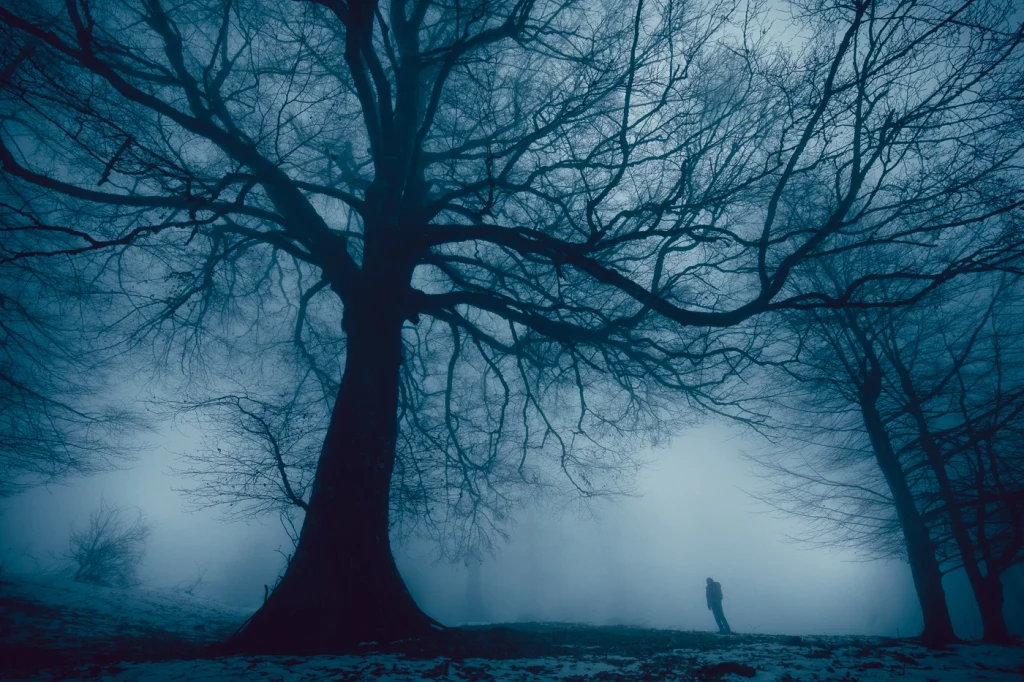 foret-enchantee-1873