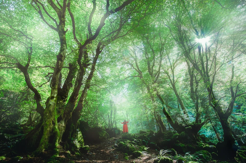 foret-enchantee-1874