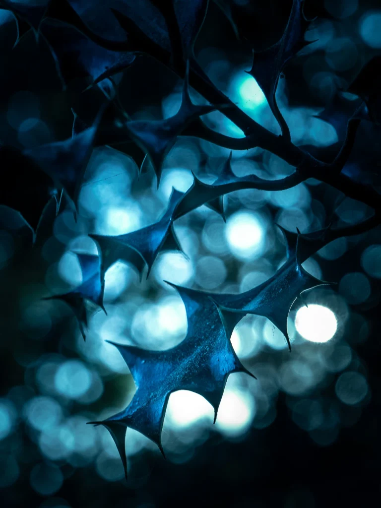 foret-enchantee-1876