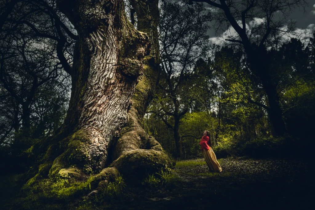 foret-enchantee-1877