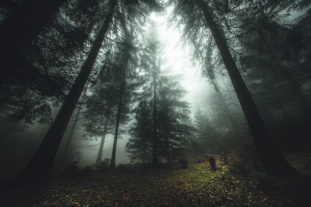 foret-enchantee-1883