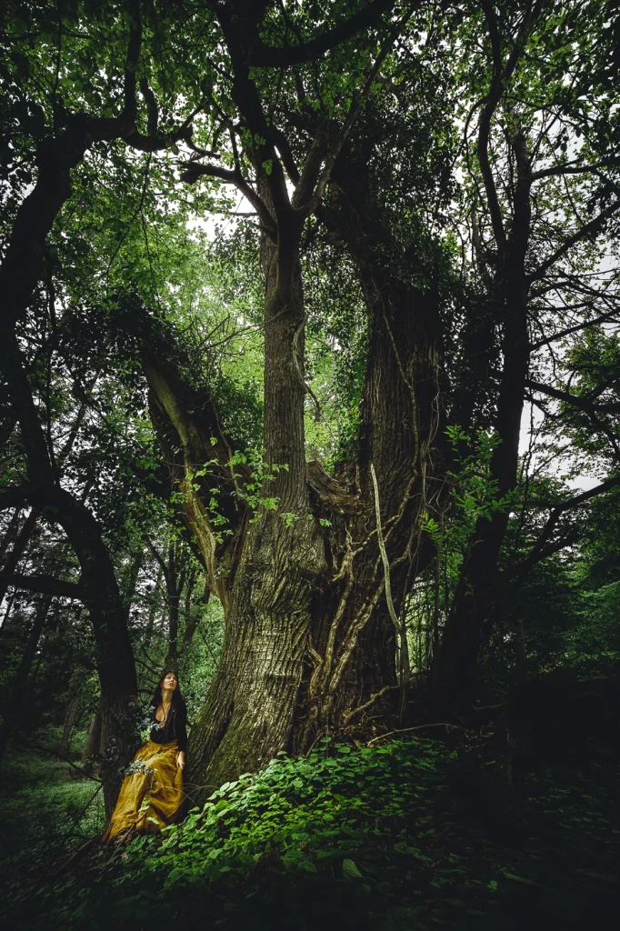 foret-enchantee-1886