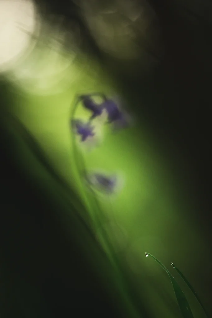 foret-enchantee-1892