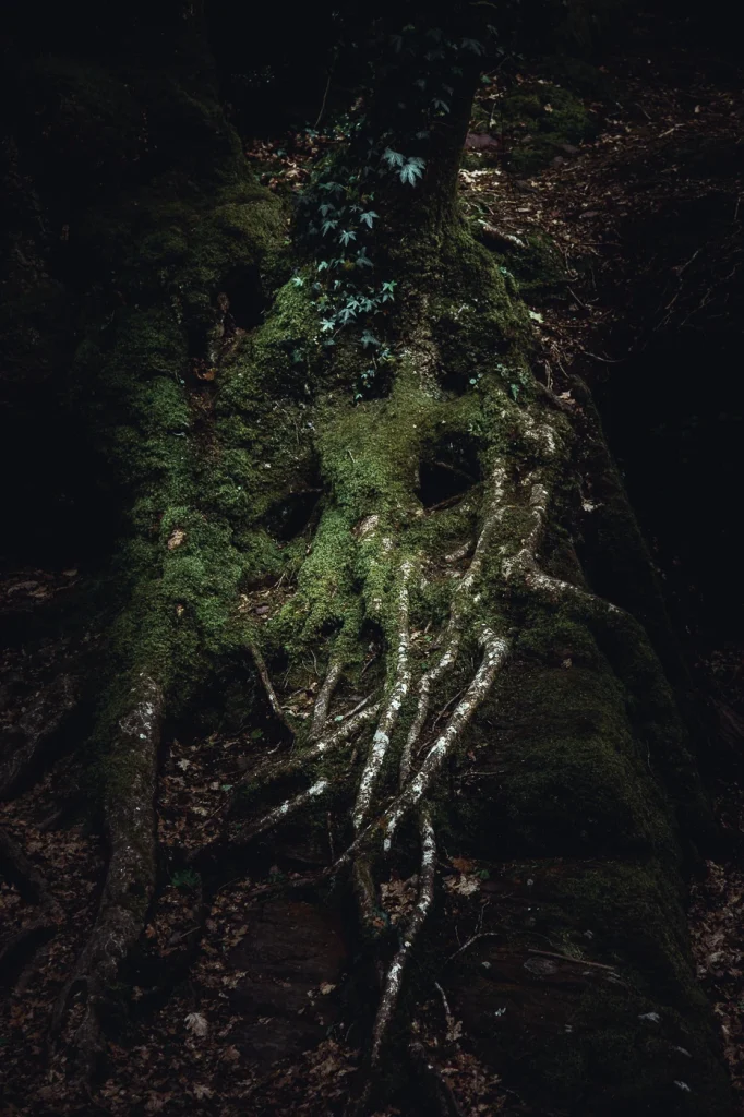 foret-enchantee-1894