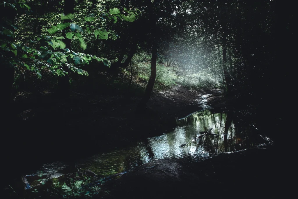 foret-enchantee-1897