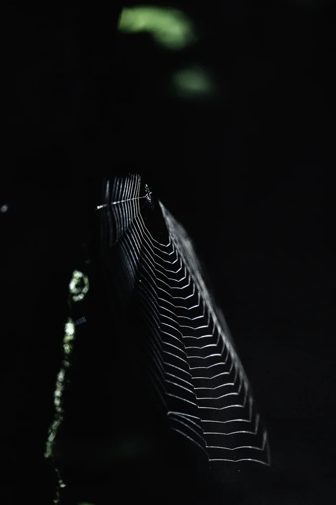 foret-enchantee-1905