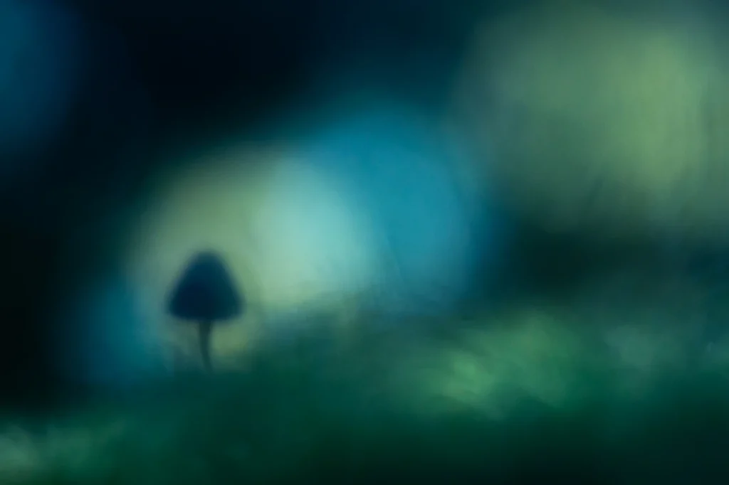 foret-enchantee-1906