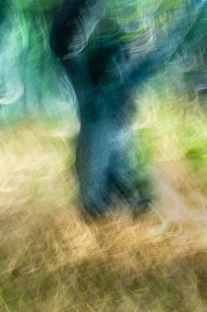 foret-enchantee-1910